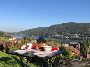 Appartement cosy - grande terrasse pleine vue lac